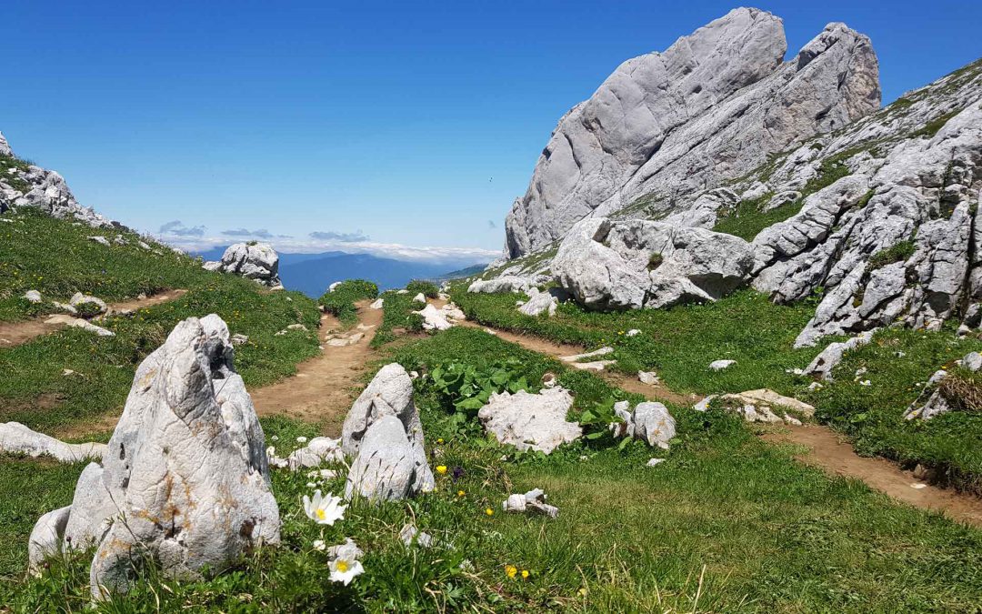 Pas de l’Oeille – Vercors